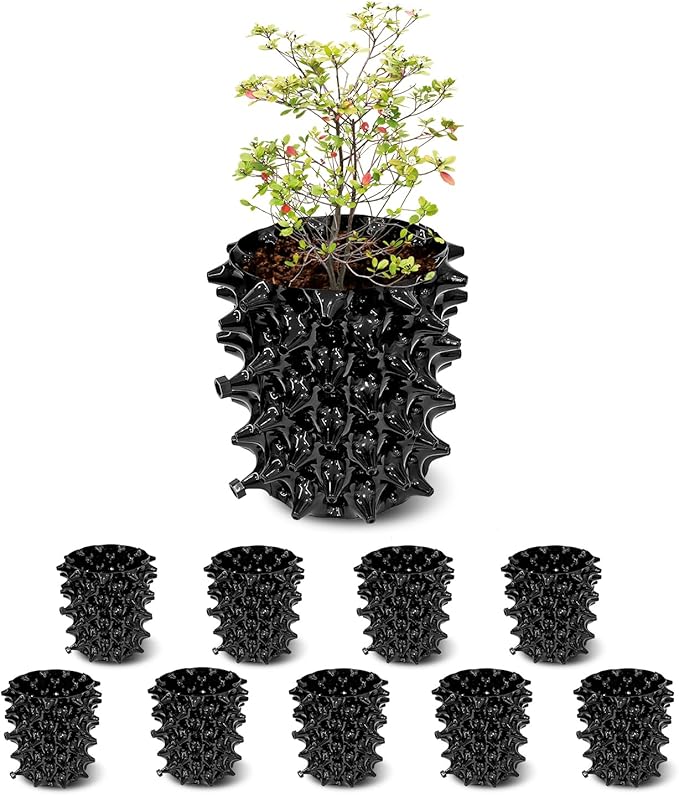 1 Gallon Air Pruning Containers, New Plastic Nursery Pots, Fruit Vegetable by RooTrimmer