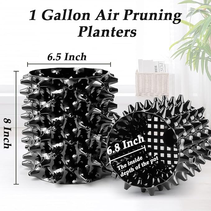 1 Gallon Air Pruning Containers, New Plastic Nursery Pots, Fruit Vegetable - Image 3