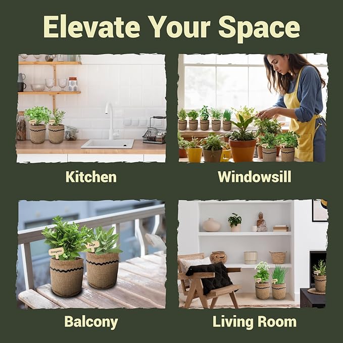 10 Herb Garden Planter Indoor Kit, Soil Discs, Gardening Tools, Unique - Image 5