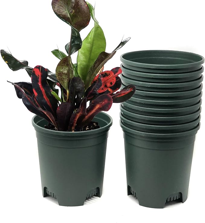 1.5 Gallon Green Nursery Pot Plastic Planters by CottaPlanters