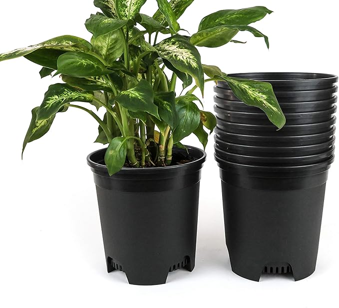 1.5 Gallon Black Nursery Pot Plastic Planters by CottaPlanters