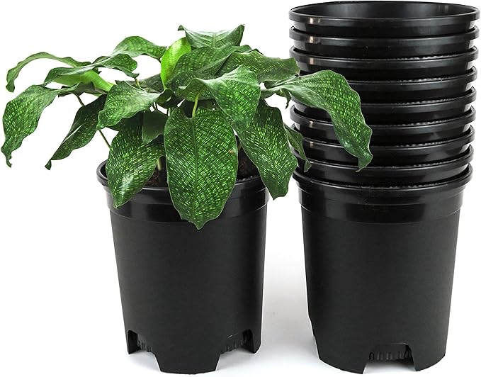 1 Gallon Nursery Pot Plastic Planters by CottaPlanters